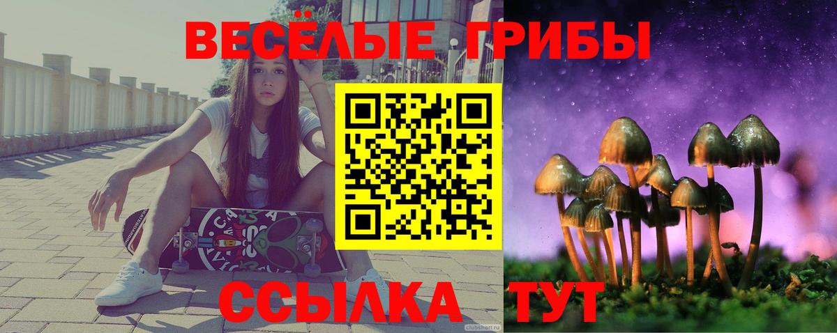 Галлюциногенные грибы Magic Shrooms  Вход с VPN  Кулебаки 